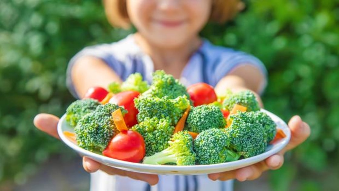Lee más sobre el artículo Nutrición Vegetariana en Pediatría